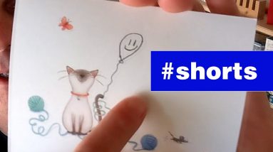 Lifetime supply of shelf pins. Viewer mail. #shorts