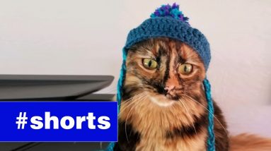 WWMM Viewer Mail  #shorts