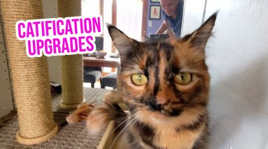 I upgraded Cobra & Bubbles' playground