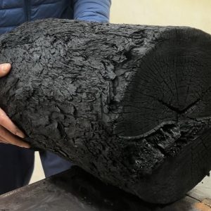 Amazing Homemade Woodworking Ideas From Charred Wood - Carpenter Turned Log Into Wonderful Table